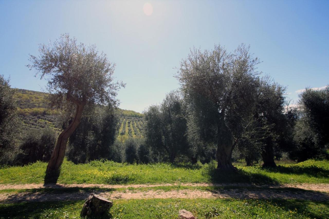 Masseria Procacci Ischitella Bagian luar foto
