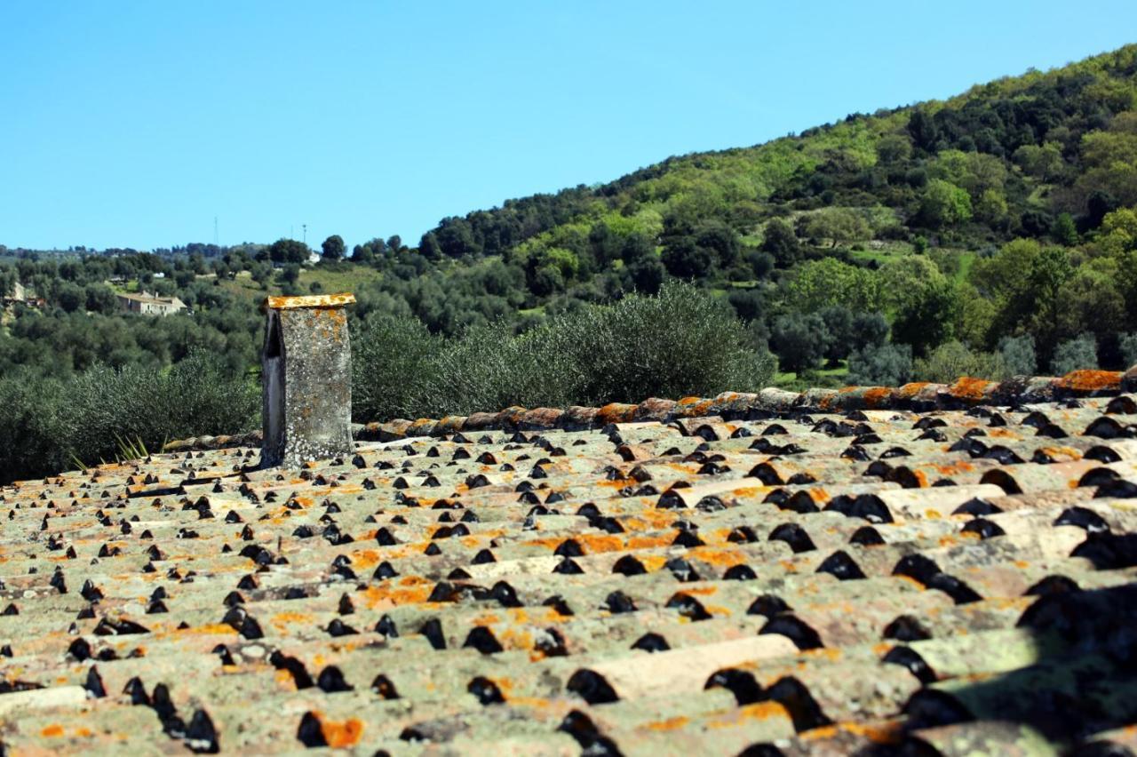 Masseria Procacci Ischitella Bagian luar foto